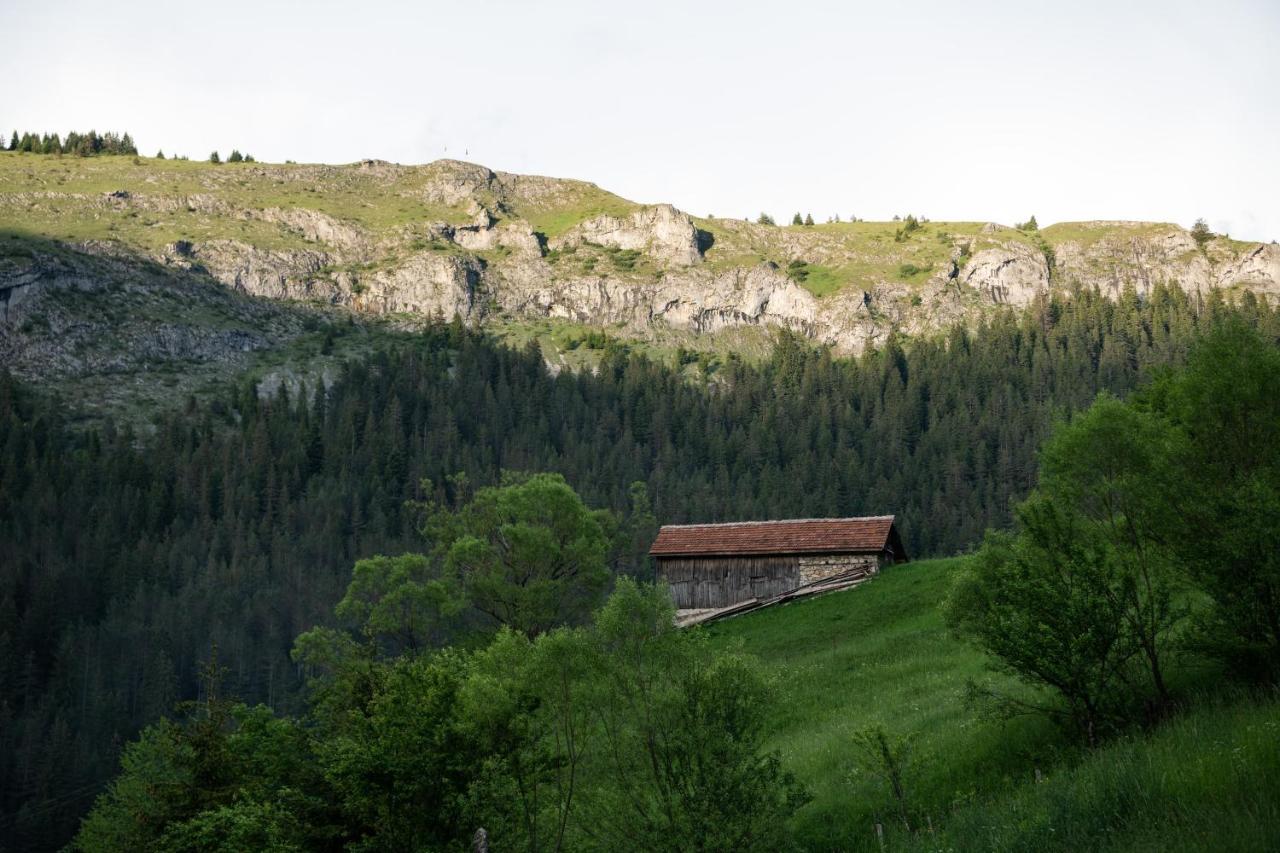 Villa Къща До Гората Триград Exterior foto