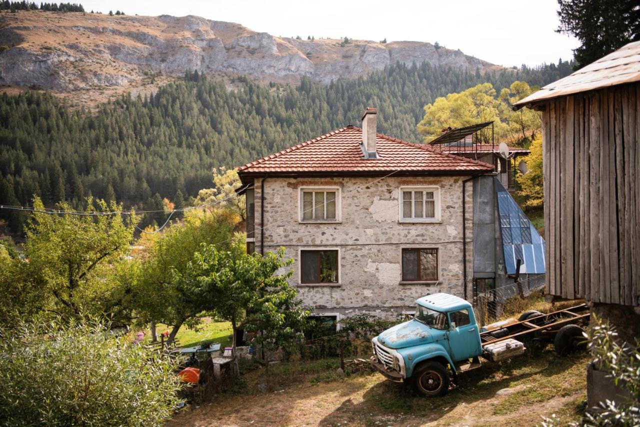 Villa Къща До Гората Триград Exterior foto